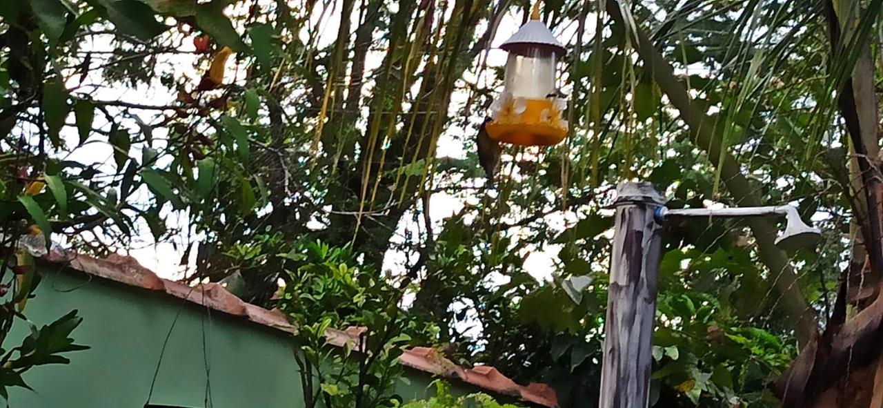 Paraiso Aconchegante Casa Espacosa E Muito Verde Caraguatatuba Dış mekan fotoğraf